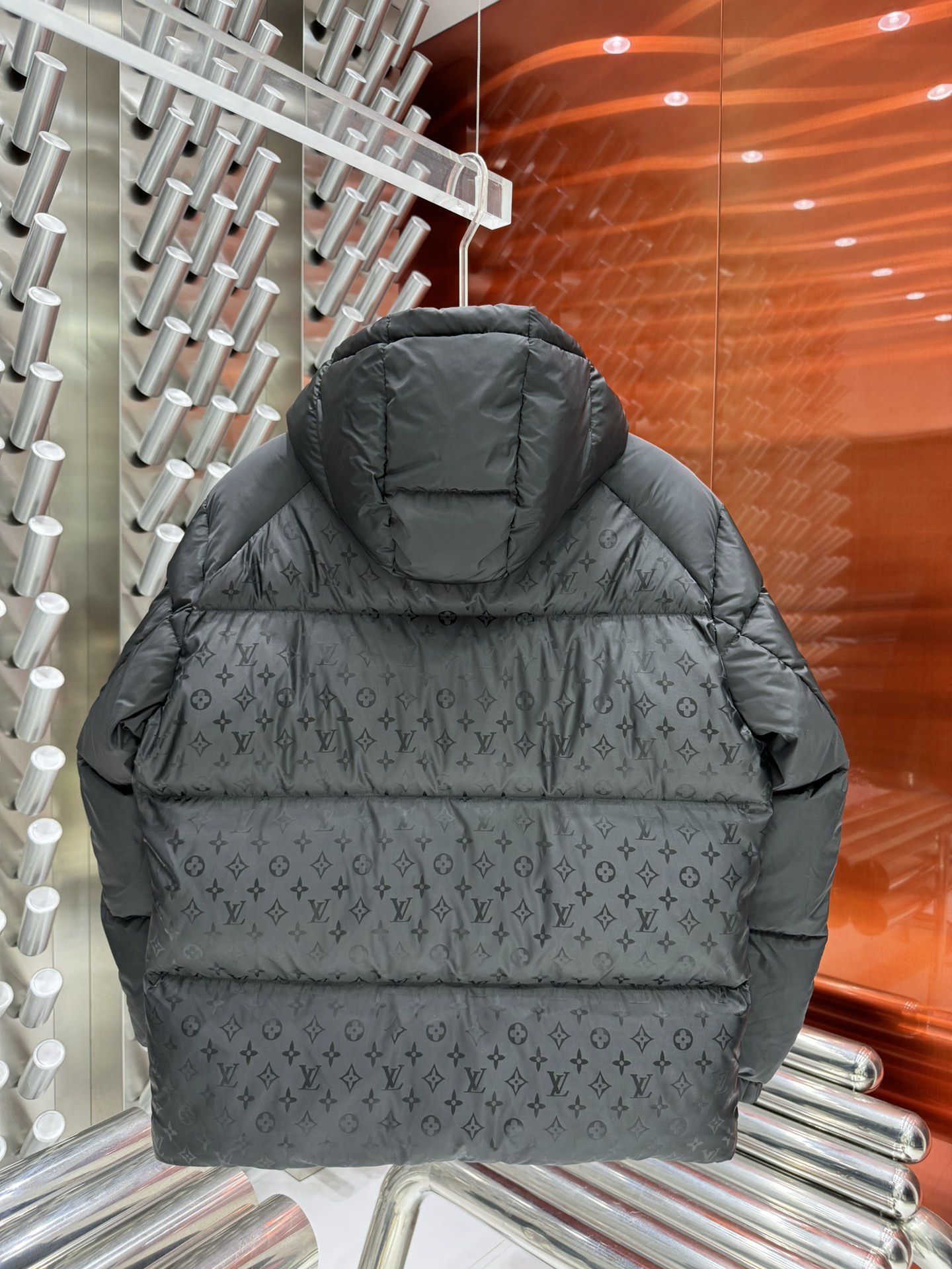 Louis Vuitton Down Jackets